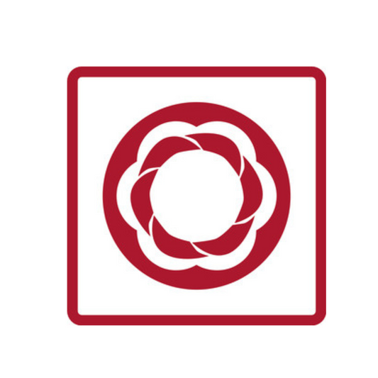 GEDORE red R68003010 Spiralnutenausdreher 1/2" 10-19mm 10-teilig