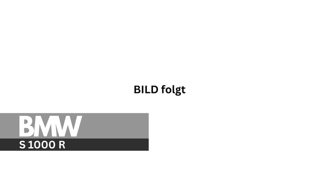 BMW S 1000 R (Euro 5) | 2R99/2R99R | (2021-2025)