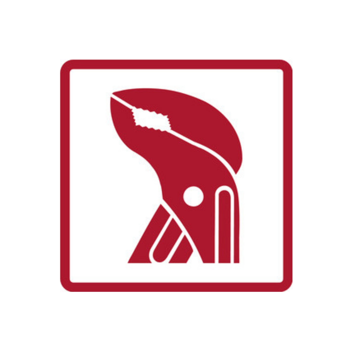 GEDORE red R22150018 Zangensatz 2/6 CT-Modul 4-teilig