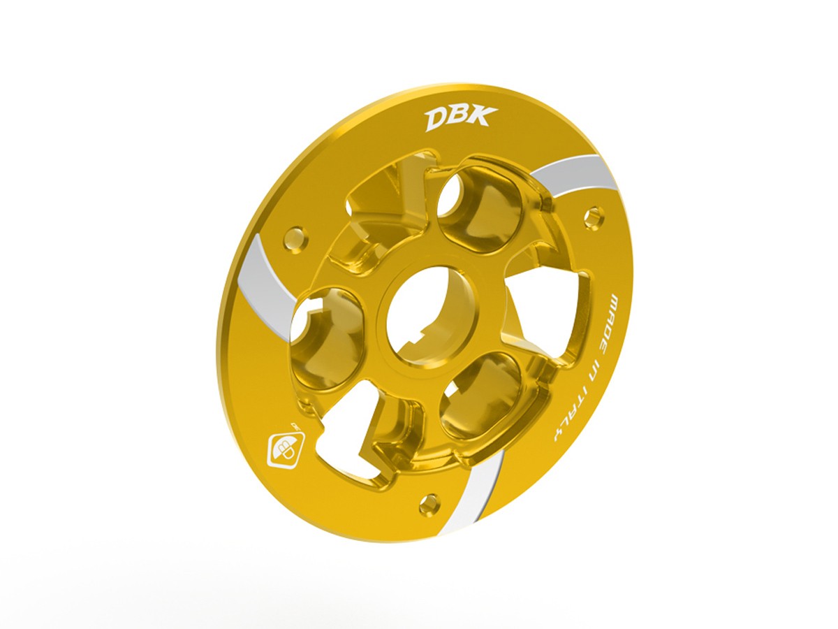 DBK Special Parts | PSF07 - Triumph | GOLD | DRUCKPLATTENABDECKUNG | passend für Triumph Speed Triple 1200 RR/RS - Modelle (2021-2024)